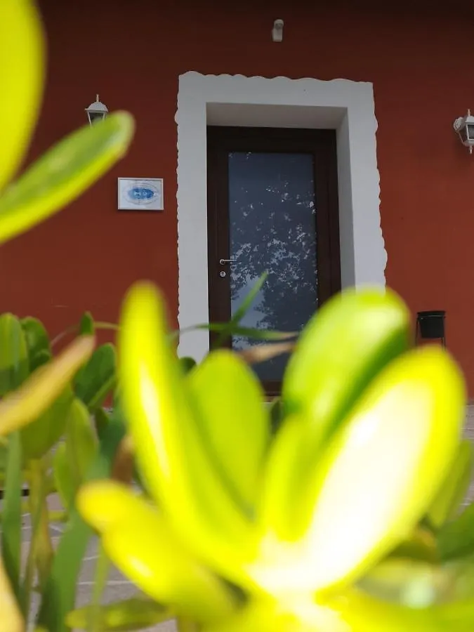 Bed & Breakfast B&B Kikina Austis