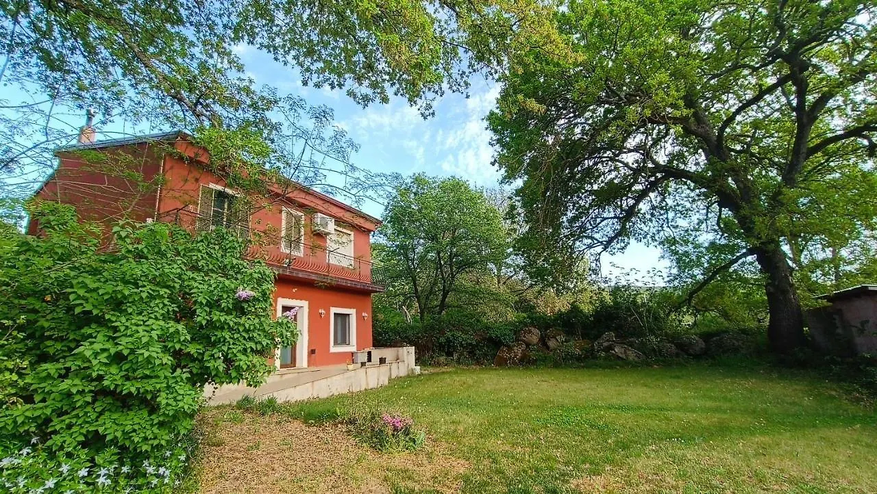Bed & Breakfast B&B Kikina Austis Italia
