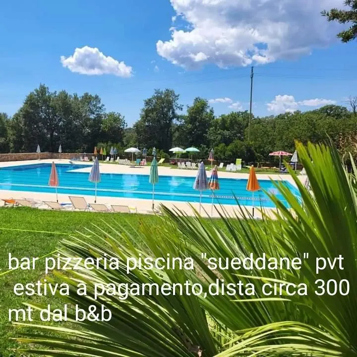 B&B Kikina Austis