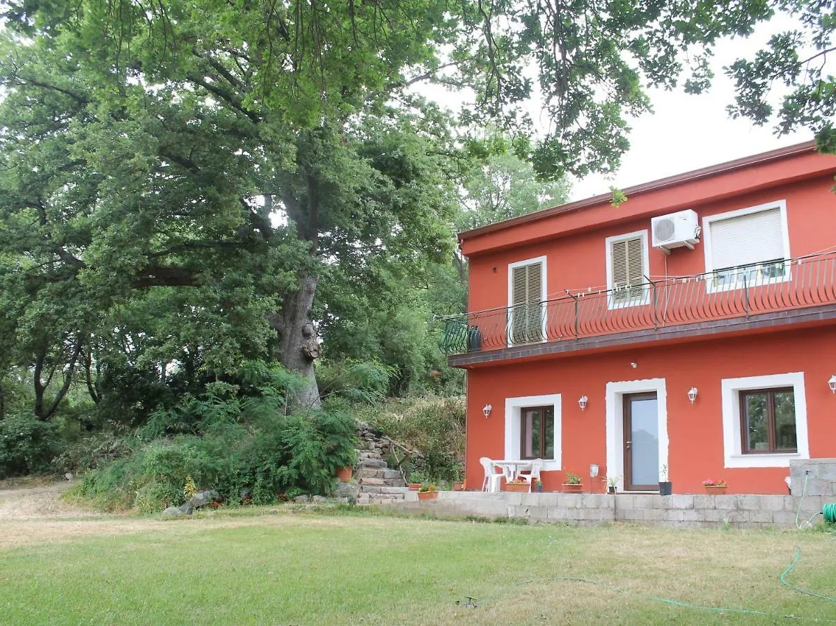 Bed & Breakfast B&B Kikina Austis