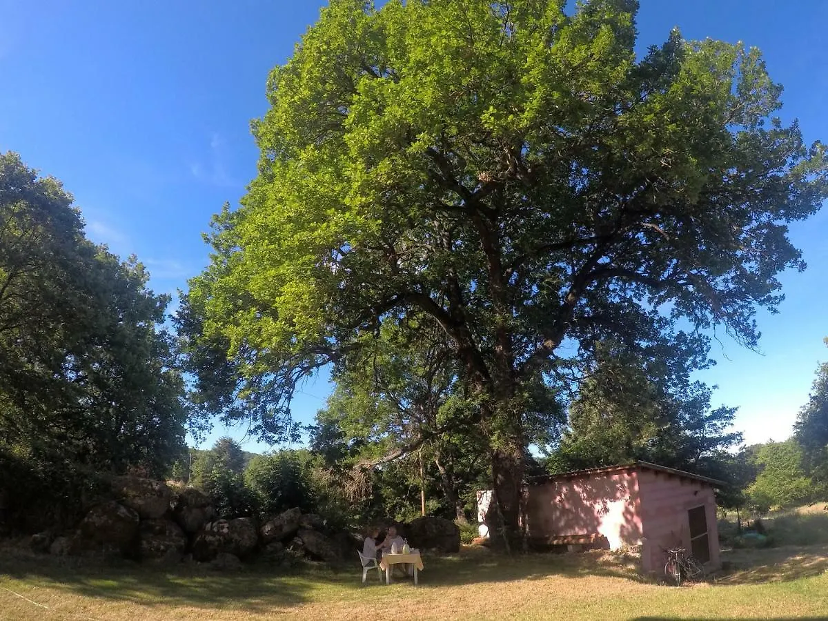 B&B Kikina Austis